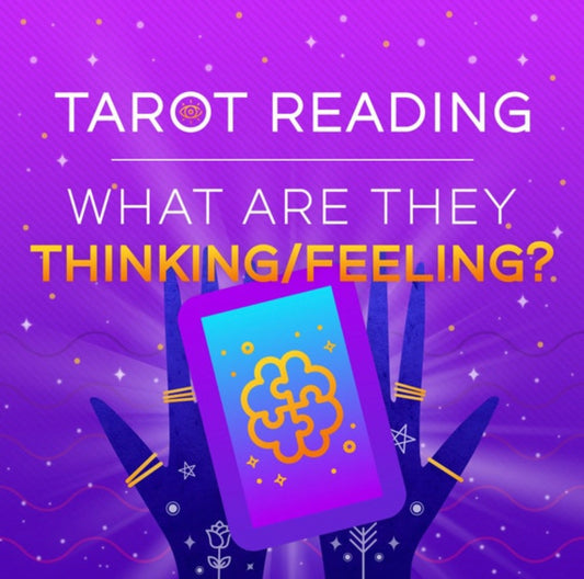 What are They Thinking/Feeling? | Tarot Reading